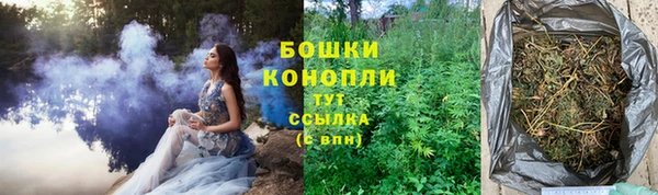 а пвп мука Богданович