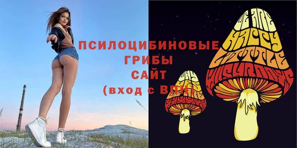 а пвп мука Богданович