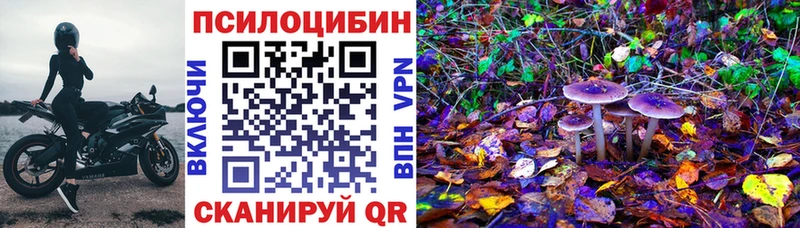 Галлюциногенные грибы мицелий  Киржач 